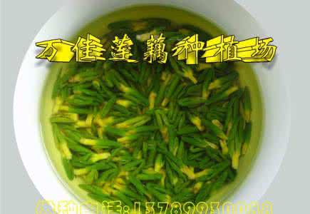 莲心茶 莲心茶 莲心茶