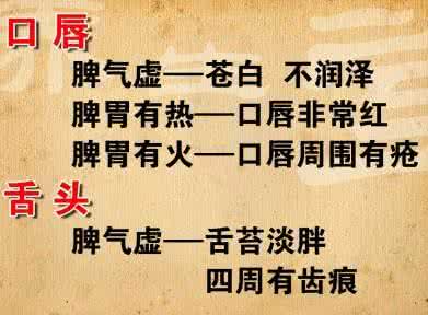 养好五脏不生病 养好脾胃就是养好五脏之本