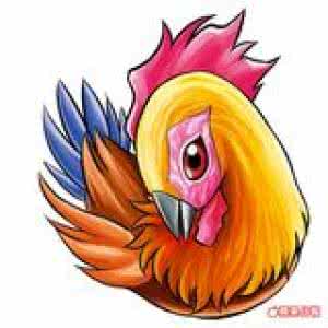 生肖猴 警惕 猴年竟是这生肖的大劫之年