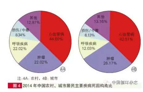 心血管疾病危险因素 研究验证肺炎是心血管疾病的危险因素