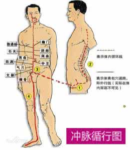 穴位的故事062气冲:阳痿