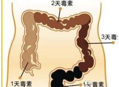 清宿便排肠毒的方法 自我按摩 排清宿便