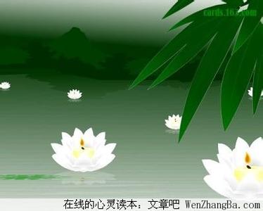 人生短暂 善待自己 人生短暂 善待自己 人生不易，善待自己