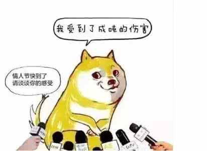 虐狗 虐狗？NO，今天是它们虐你 ，每当爱情发生时 丨腔调