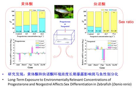 孕激素低的症状 孕激素功能 孕激素的主要功能介绍