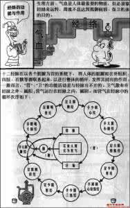 骨骺线长高 有才任性，手绘骨骼图新鲜出炉