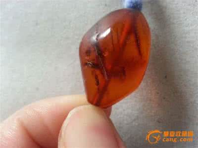琥珀的功效与作用 琥珀的图片 琥珀图片_琥珀的功效与作用