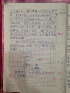 鄂教版四年级上册语文 小学四年级上册四单元作文鄂教版 秋天的落叶