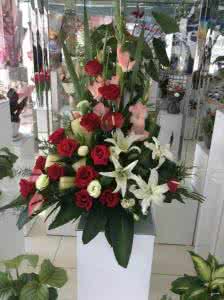 何夜入春风 云霓 小说 晨曦云霓溅风花