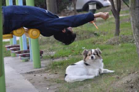 大狗与小孩 小孩与狗！