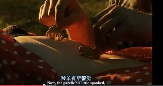 约会除了吃饭看电影 约会除了吃饭看电影还有其他项目吗？