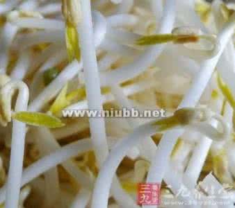绿豆芽的营养价值 绿豆芽有什么营养 绿豆芽里面的营养价值