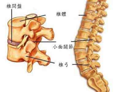 腰椎盘突出压迫神经 腰椎盘突出压迫神经痛 腰疼的原因 这处总是痛多半是腰椎盘突出