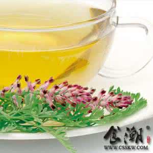 利水祛湿的中药 利水祛湿车前草