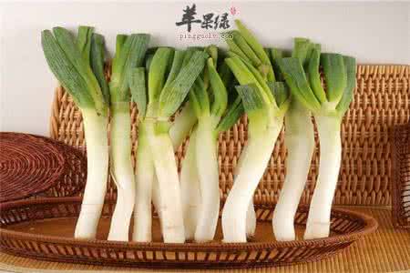 中医养生八大妙方 【养生】大葱八大保健功效