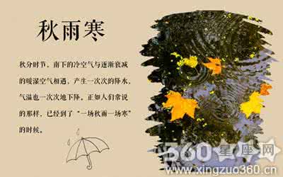 秋分 秋分|你该对多肉做些什么?
