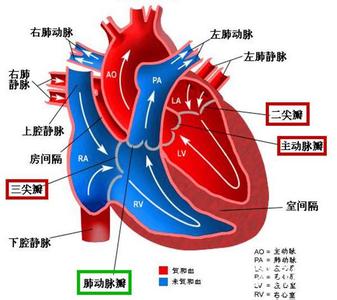 心脏的工作原理 3分钟看懂汽车心脏工作原理，10万到100万都是如此？