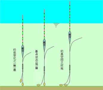 夜钓调漂技巧 夏季夜钓鲫鱼选浮漂以及调漂技巧