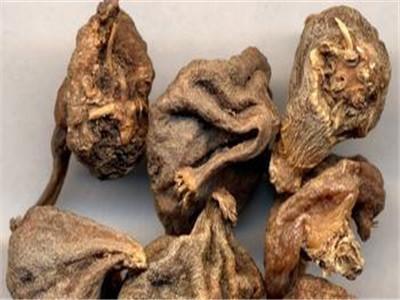 山慈菇 光慈姑  谈一谈山慈菇和光慈姑一样吗？