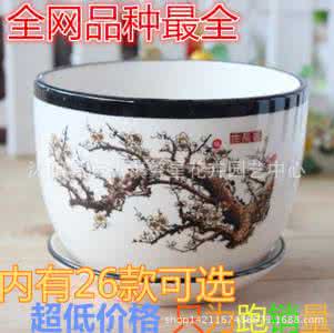 陶瓷花盆价格 陶瓷花盆价格 瓷盆如何选购 价格是多少