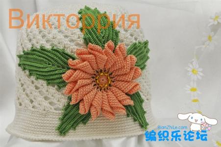 手工钩针花样大全图解 手工钩针花饰花样图解大全(一)