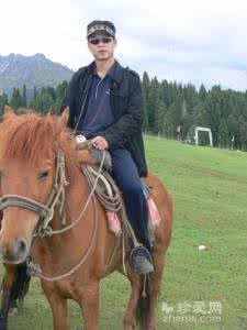 小姐与流浪汉 电影 司令与流浪汉 转载