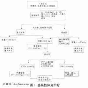 感染性休克治疗指南 感染性休克 如何治疗感染性休克