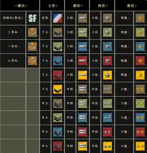 特种部队军衔经验表 特种部队：特种部队-定义，特种部队-特点_特种部队军衔经验表