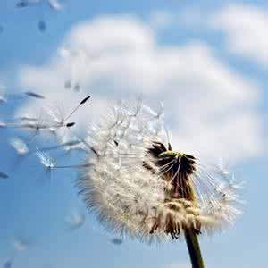 平静谦和,不事张扬意思 平静谦和,不事张扬