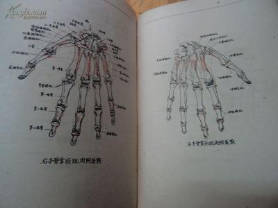 乌药 中医世家 乌药 中医世家 乌药的中医验方和用法