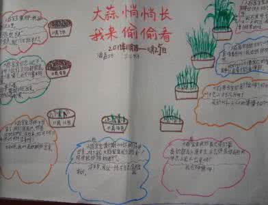 快乐成长手抄报内容 蒜宝宝成长记手抄报内容资料大全