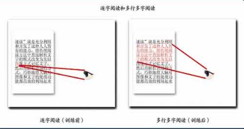 js全脑速读记忆训练 《全脑速读记忆：训练原理》