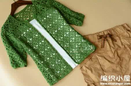 简单镂空钩针花样图解 （转载）素雅的绿色钩针镂空花中袖小开衫