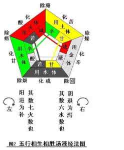 辅行诀脏腑用药法要 辅行诀脏腑用药法要 从脏腑