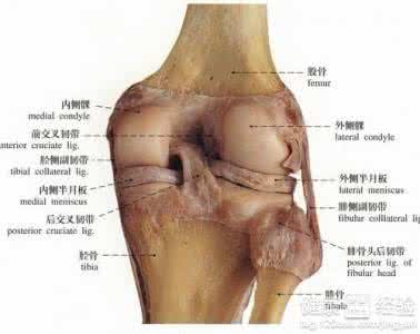 膝盖骨质增生治疗方法 膝盖骨质增生 膝盖骨质增生是怎么回事