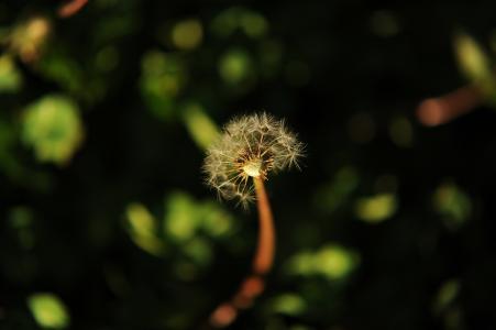 感谢你出现在我生命里 感谢你，美丽芬芳了我生命的段落【情感美文】