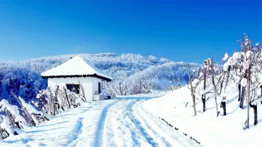 冬天的白雪作文 冬天我化作白雪 冬天于我