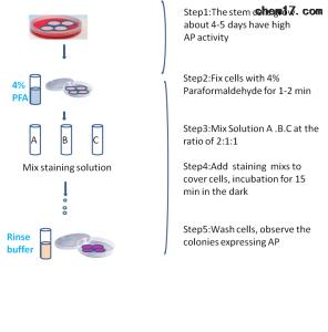磷酸一铵的用途 碱性磷酸酶 碱性磷酸酶用途介绍