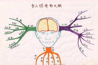如何培养创新思维 如何培养与众不同的创新思维