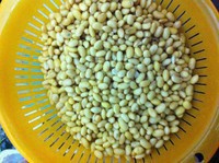 做豆浆黄豆和水的比例 黄豆水治病四则*