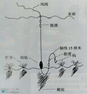 七星漂调漂方法图解 高手七星漂巧改钓组应对水底酱层 - 钓鱼人