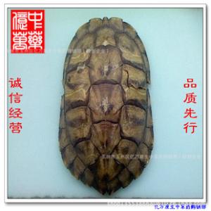 醋龟甲的功效与作用 醋龟甲的作用与功效 龟甲的功效及应用