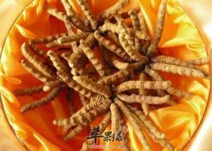 老中医补肾壮阳中药方 冬虫夏草壮阳 补肾壮阳圣品——冬虫夏草