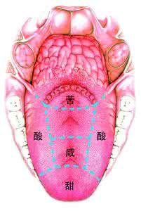 鲜味百出 鲜味何来（中国人怎么吃）