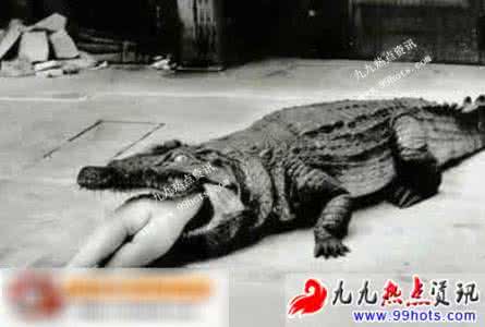 性酷刑处死美女 古代惊人酷刑大全：用动物处死人类 胆小慎入!