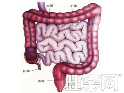 肠癌大便带血图片 大便带血警惕肠癌