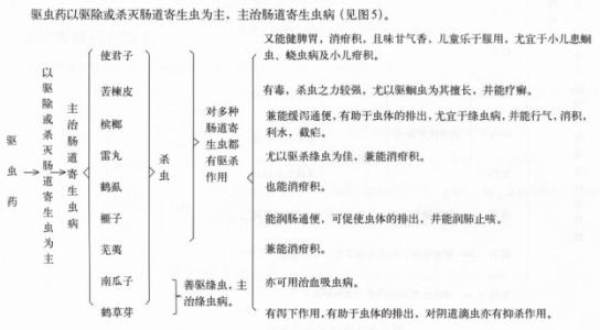 苦楝皮的功效与作用 苦楝皮的功效与作用 说说苦楝皮功效与作用吧