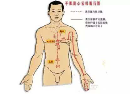 肝脏的生理功能 跟我学中医 | 认识肝脏，从生理特性开始