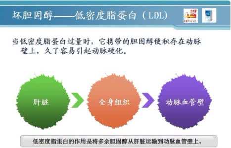 胆固醇吸收抑制剂 胆固醇吸收抑制剂 每天吃一碗燕麦抑制胆固醇吸收