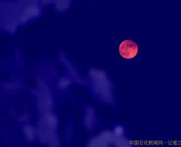 人生需要仰望 人生总是要仰望点什么